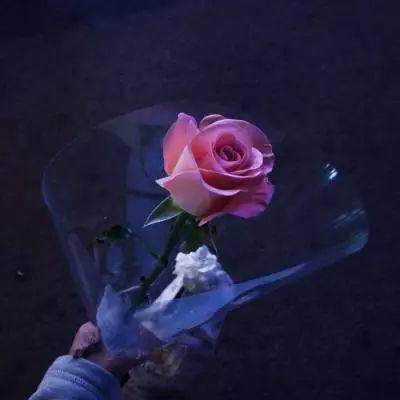 延安房产信息网