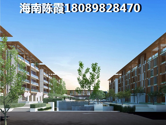 碧桂园澳邻Park 一居  户型图