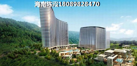 碧桂园澳邻Park 一居  户型图